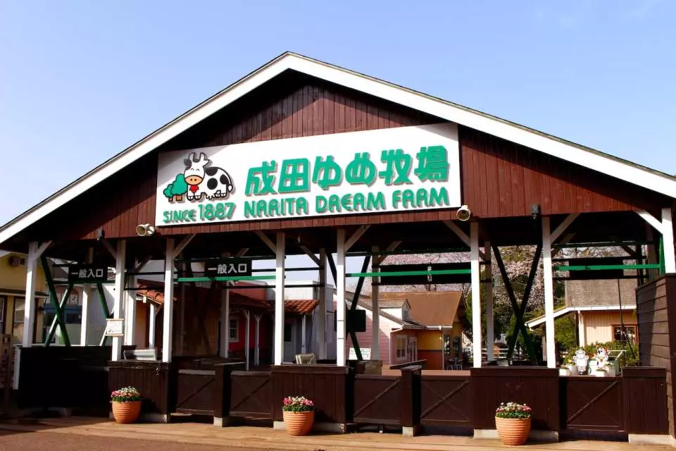 Narita-chiba